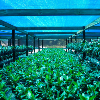 Mreža za hlad 2M 100/1 DARK 40