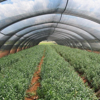 Mreža za hlad 2M 100/1 DARK 40