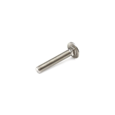 Inox Torban vijak M6x60